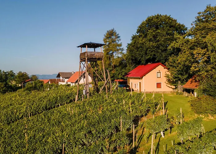 Stunning In Holiday home Velika Nedelja